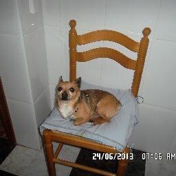 yo para ser feliz quiero un camión !!!