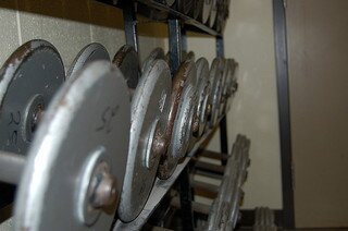 Fitness enthusiast, Teacher and are focused on nutrition.