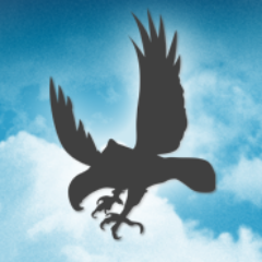 Hawk Web Design is a professional website company specializing in building and marketing websites for a wide range of businesses.
