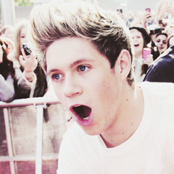 you just got a free follow from @nouistwinkles (: follow her and ask her for a followback ♥