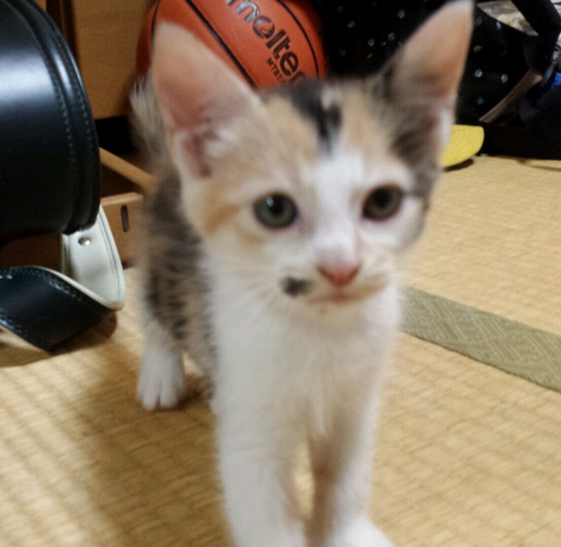 saytakecare's profile picture. 