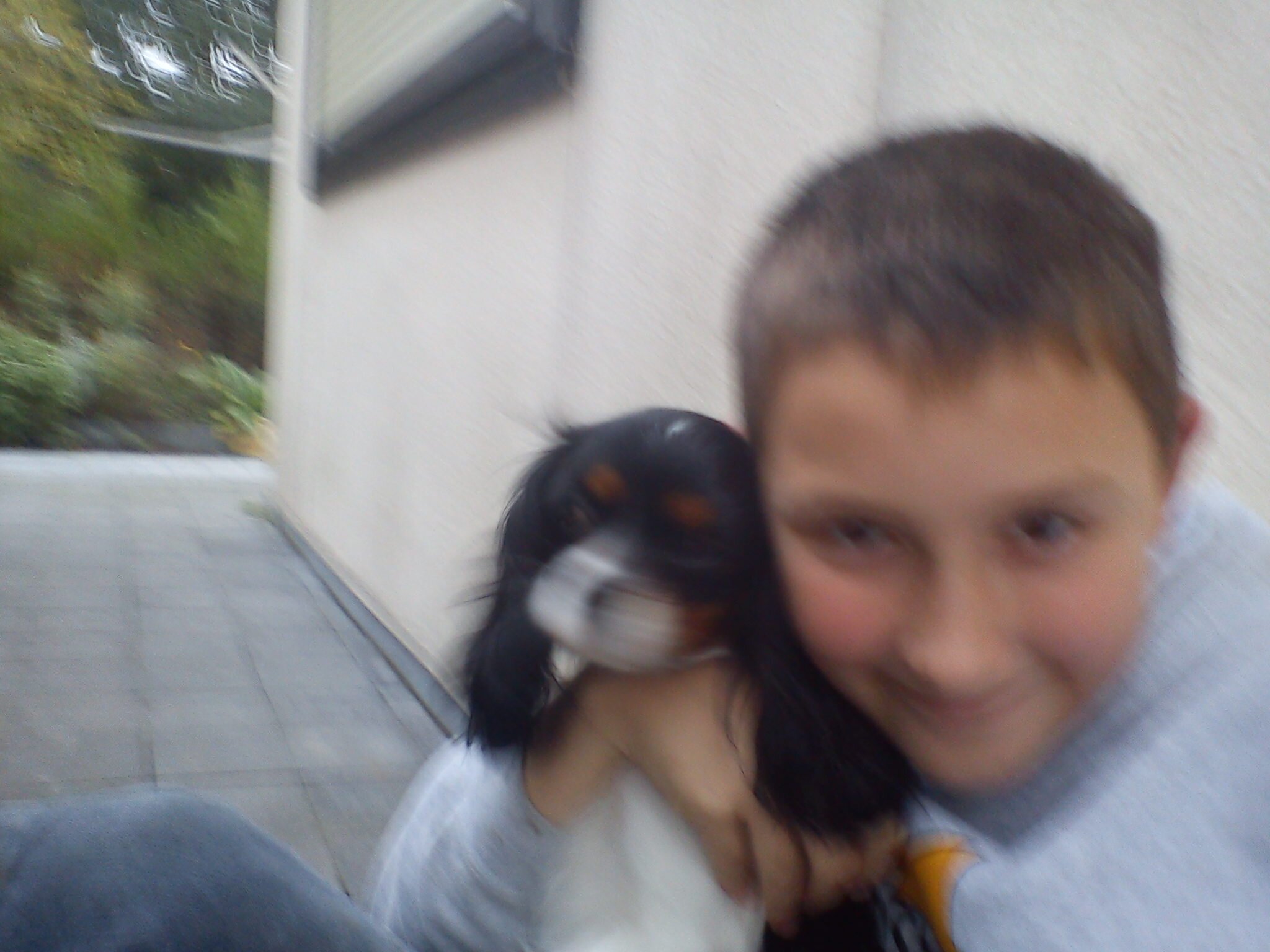 buckinx_stef's profile picture. 