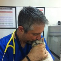 Ioannis Savvas (@isavvas) 's Twitter Profile