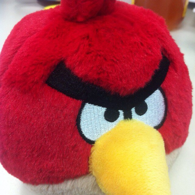 tigercub10's profile picture. nonexistentlj from _skating.