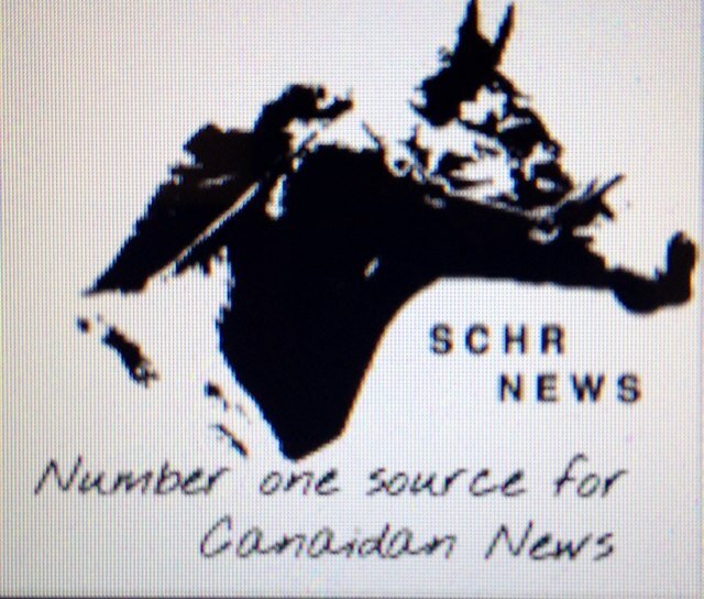 Santino's Canadian Horse Racing News - Your number one source for Canadian Horse Racing News. - Home of the Road to the Plate Show.