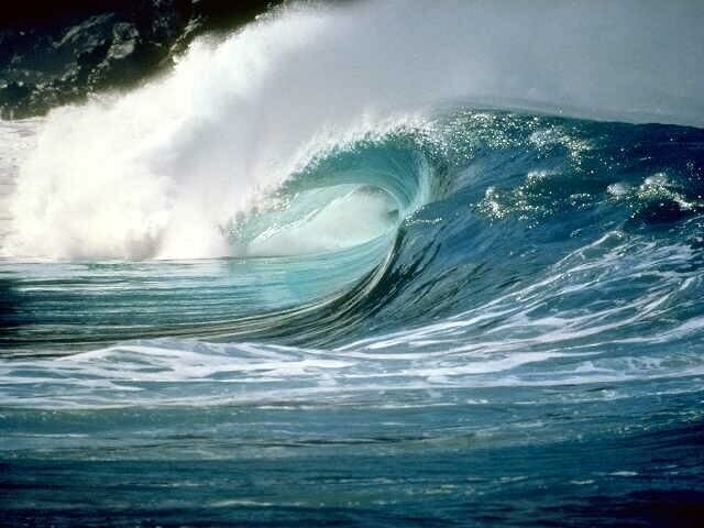 MojoTech1's profile picture. 