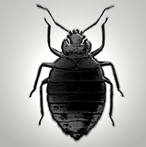 Cimicenera è un blog multidisciplinare in cui chiunque può filtrare notizie e pubblicare articoli rielaborati con commenti e valutazioni. Share your thoughts!