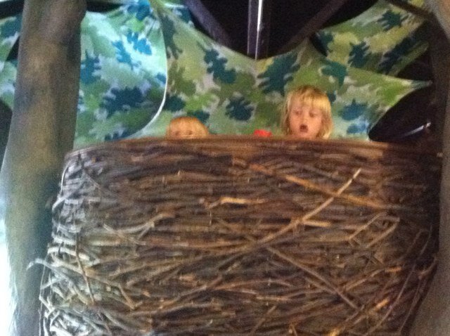 krwake's profile picture. 