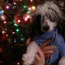 Shane Cote - @shanecote10 - Twitter