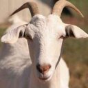 Julio Madrid - @SomaJulio - Twitter