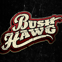Bush Hawg (@bushhawgmusic) Twitter profile photo