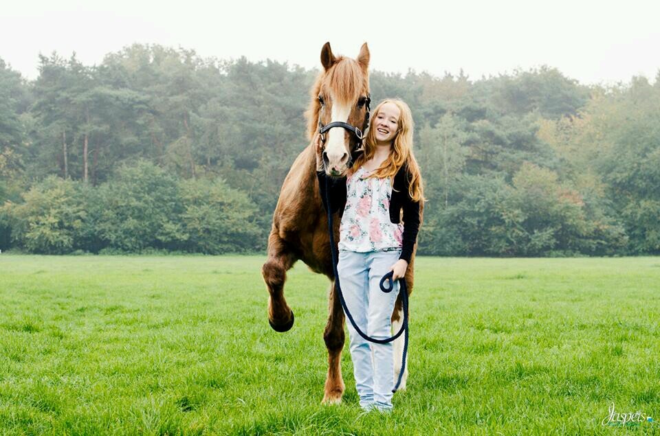 If you follow us, you can expect tweets about horses. ♡