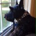 Tom Westerfield (@tom_westerfield) Twitter profile photo Tom Westerfield (@tom_westerfield) Twitter profile photo