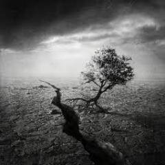 surrealescape's profile picture. 