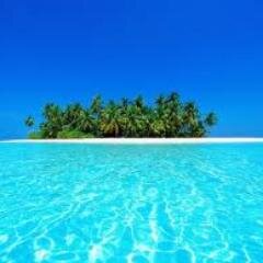 maylizze's profile picture. 