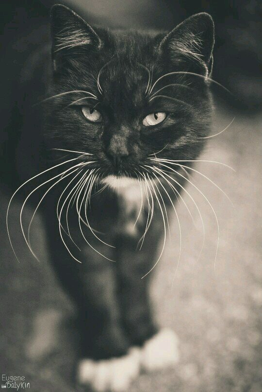 you_life_'s profile picture. 