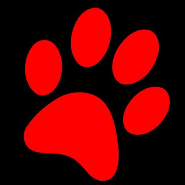 Welcome to the Wilson Paw Print! Check out our newest September articles. Meetings are the 1st and 3rd Tuesday of every month in E324 Mrs. Fischenich’s room!!!