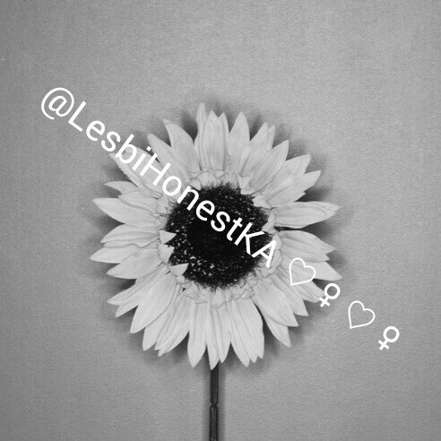︴Lesbian ︴18