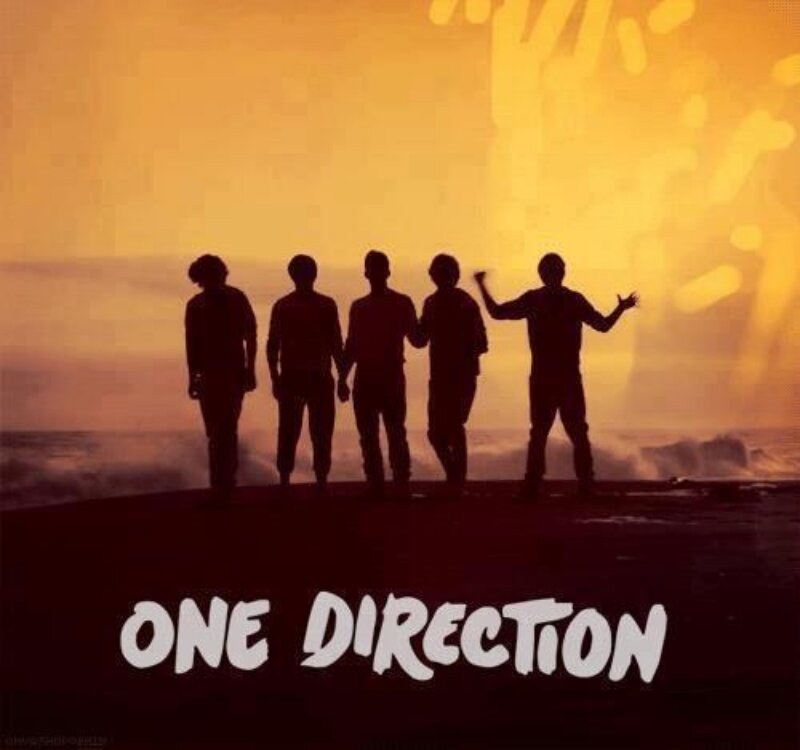 Hello! We are the One Direction Fan Clubss! We love One Direction! Come here to see the awesomness of ONE DIRECTION! Join us for free! On our website!