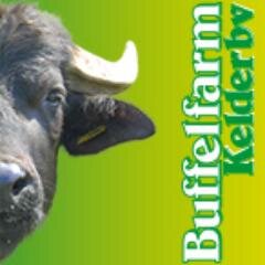 Buffelfarm - Fam.Kelder, hier staan de waterbuffels centraal. Heerlijke buffelproducten bereidt uit 100% waterbuffelmelk van eigen buffels. En dat proef je!
