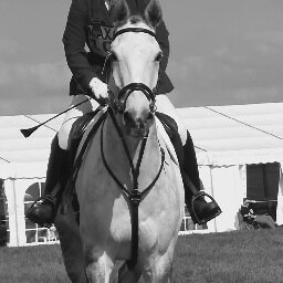 Amatuer eventer competing at grassroots level with my lovely horse Jimmy. Aiming to share our highs and lows of juggling a full-time job and eventing.