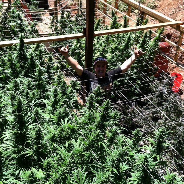 graff82's profile picture. I grow pot