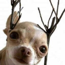 VeronicaMonte11's profile picture. 