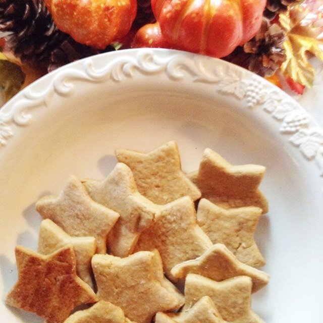 Homemade Treats. Dog Approved. 

Like us on facebook! @thebarkbakeryandboutique