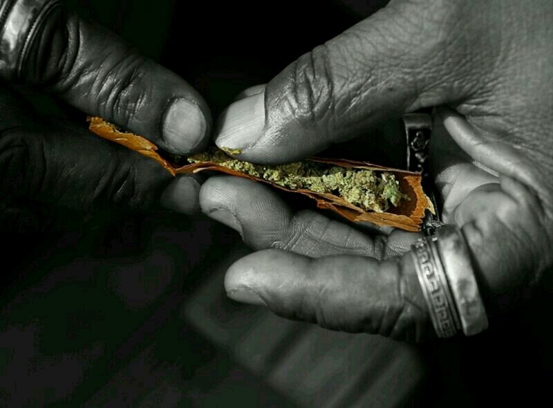 embarca13's profile picture. 