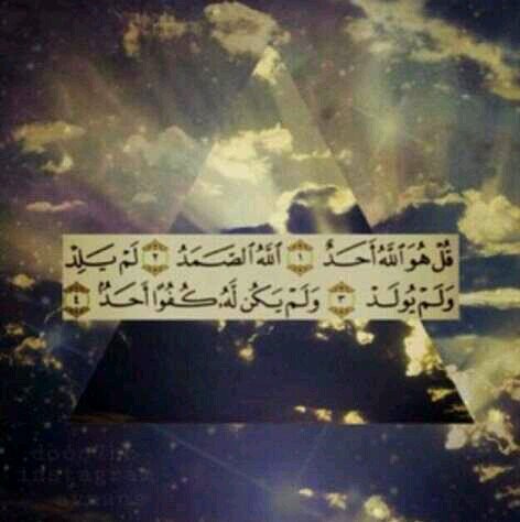 اسعدتكك بفوولو طيب اسعدني ورده هنا@shsss8816