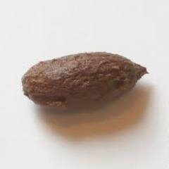 Me llamo caroso: sirvo para que los pelotudos tarden 2 horas para comer una aceituna. Seguime y dejo de existir en las aceitunas