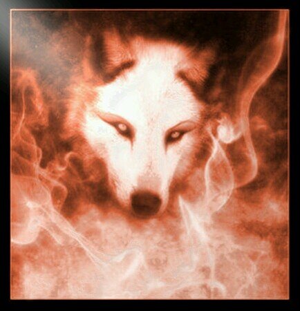 Aspiring competitive gamer, searching for a team! Channel - http://t.co/4zCQNfhEXM!