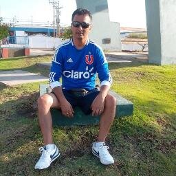 CHILENO DE TOMO Y LOMO