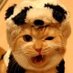 K Stewart (@kimthebes) Twitter profile photo