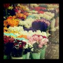 Ahmad (@0553061851) Twitter