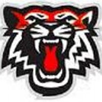 Hillcrest P.S. (@hillcresttigers) 's Twitter Profile