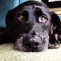 annakatesimon's profile picture. pbo : local                                                        chs : native