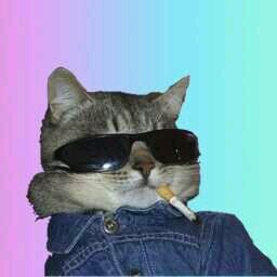 (( free follow from @TEQUlLARRY ))