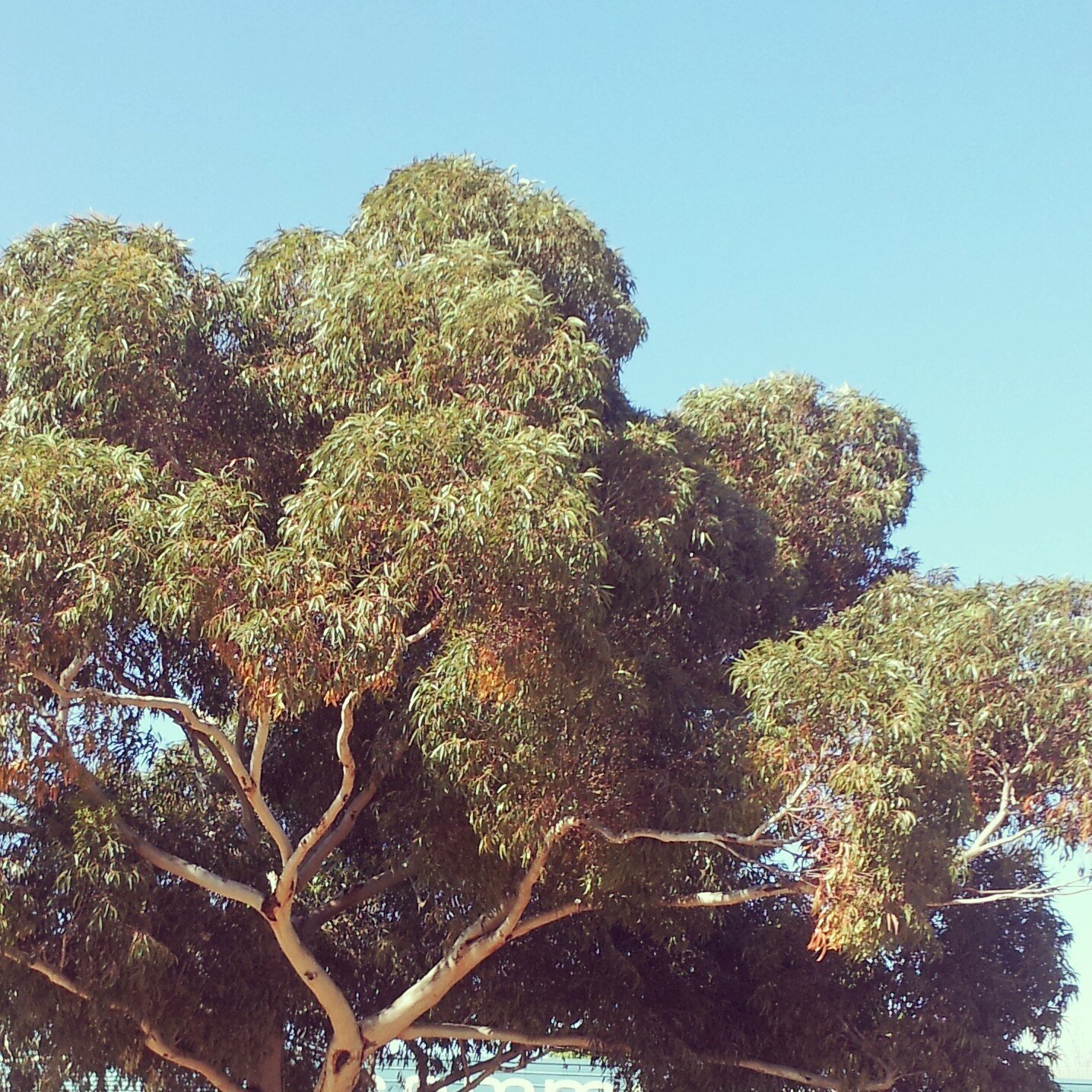 Sharing what is great about Moreland Council's inner northern suburbs of Melbourne, Australia. Share what you love using #i_love_moreland