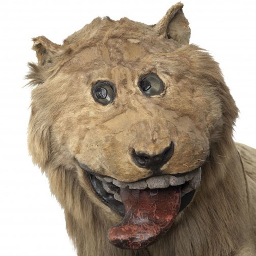 the_aeolist's profile picture. I like tetragametic chimerism, avant-garde fashion where you wear glasses but not on your face, and small uneven toes.