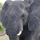 prevost pascal - @pascal34prevost - Twitter