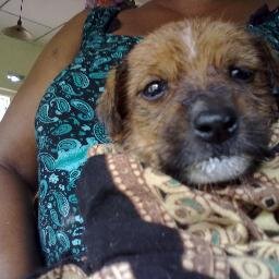 Ashithacooray's profile picture. 