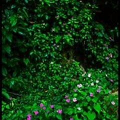 EnvSAVE's profile picture. 