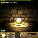 パズドラ大好き♪(*´∀`) (@095939246246) Twitter