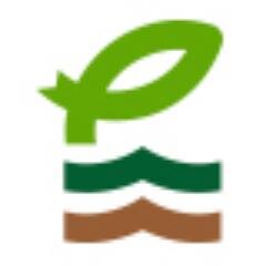 PescadodeEstero's profile picture. 