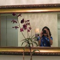 Kavi (@kavithanjali) 's Twitter Profile