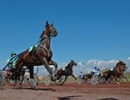 Articleur's profile picture. 