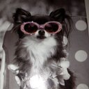 Sonja Gray - @Tinkerb777 - Twitter