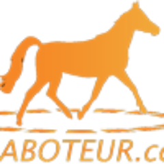 Portail sur les chevaux et l'équitation. Petites annonces de chevaux à vendre gratuite, actus et annuaire équestre.