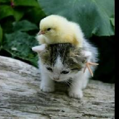 ItsSHOWTIMEuu's profile picture. ほーむめいどを愛する２３歳フリーター。看護師目指しておべんきょ中☆万年ダイエッター（笑）家族仲間募集中です！仲良くしてください♪  HMKU/九州男/塾長/ハジ→/lecca/ソナポケ/E-girls/クラブ系MIX/洋楽